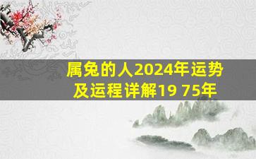 属兔的人2024年运势及运程详解19 75年